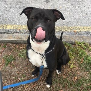 Meet your Posher, Trevor